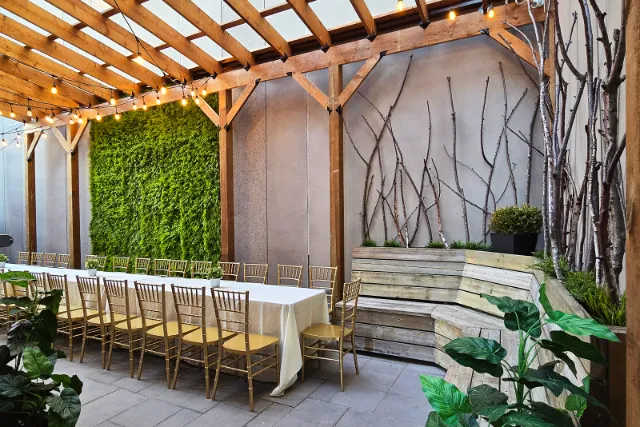 Back Patio 5
